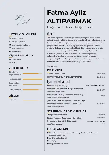 Matematik Öğretmeni Cv Örnekleri cv indir